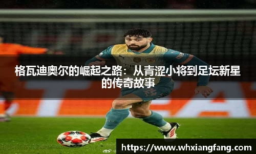 完美体育官网
