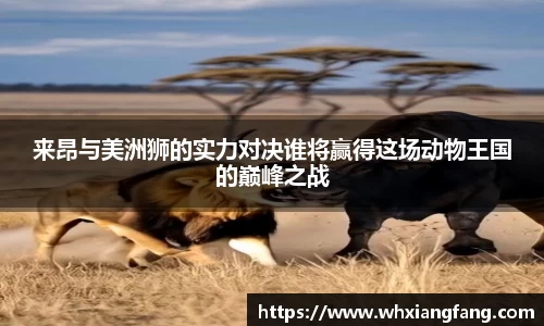 完美体育官网