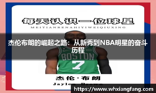 完美体育在线入口官网