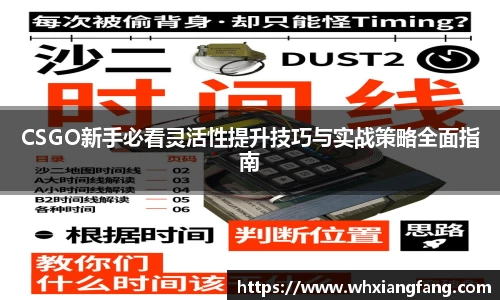 完美体育在线入口官网