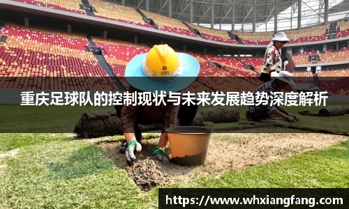 完美体育app下载安装