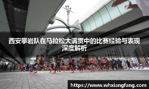 完美体育在线入口官网